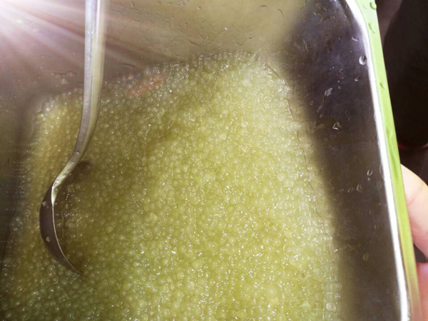 【奶茶原料】教你怎么煮出“透、嫩、赞“的西米!—西米煮制方法一