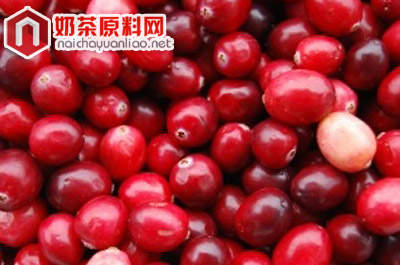 蔓越莓果露批发